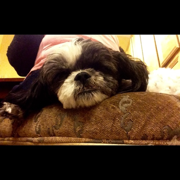 Meet your Posher, Berenice - Picture 1 of 1